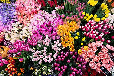 超高速动作游戏《灵拳Spirit X Strike》6月20日正式登陆Steam平台！